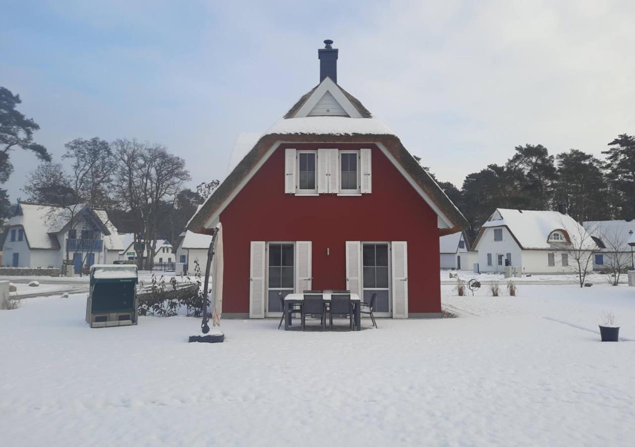 Modernes Reetdach-Ostseeferienhaus Bella Mare, Insel Usedom Mit Sauna, Kamin & Sonnenterrasse Zirchow Esterno foto